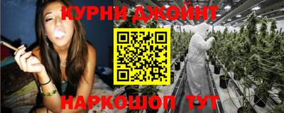 шишки Тара