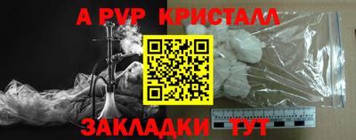 шишки Тара