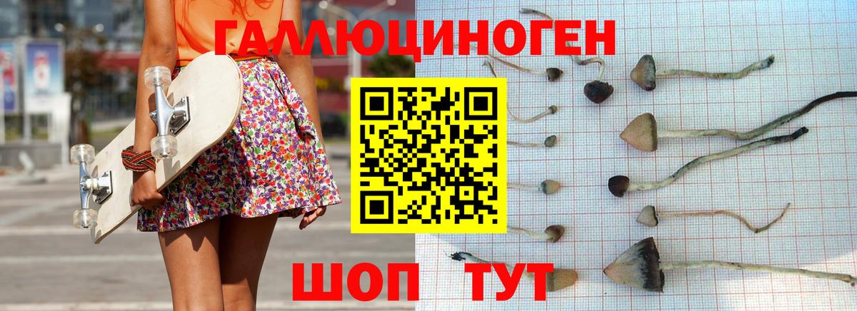 Галлюциногенные грибы MAGIC MUSHROOMS  Вход с VPN  Новый Уренгой 